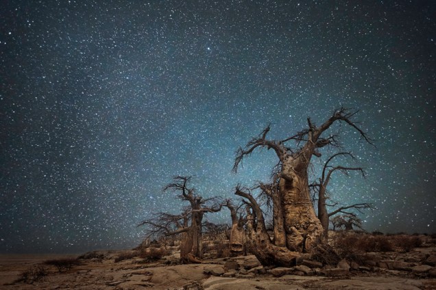 Beth Moon: Ara, 2015.