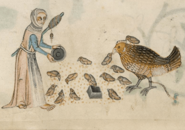 British Library Add MS 42130 f166v Feeding Chickens