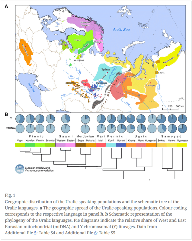 Tambets et al Geo Distribution Uralic Populations w Lang Tree