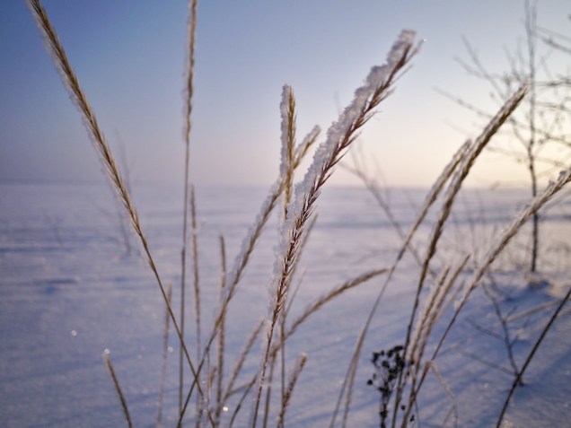 Flickr pikkuanna Rantavehnää