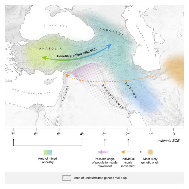 MHAAM Genetic Gradient 6500 BCE