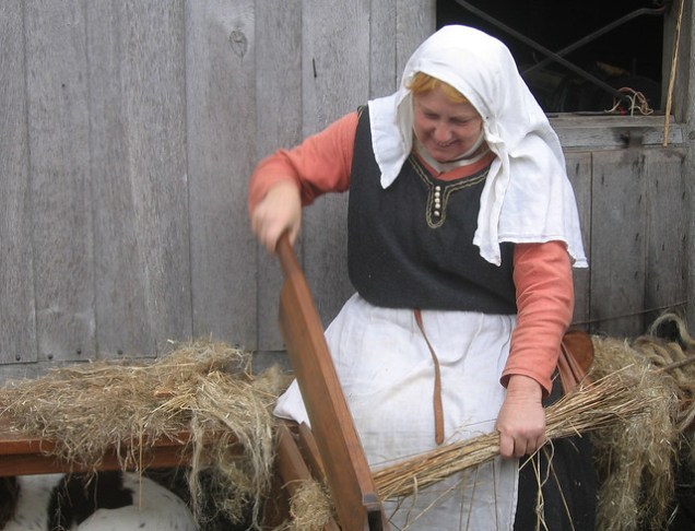 Flickr Hans Splinter flax