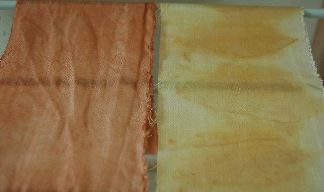 Flickr Lionel and Heidi Eucalyptus on Linen