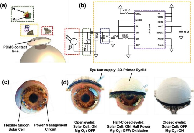 Wiley Online Library Pourshaban et al Fig4