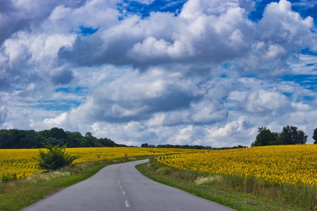 Flickr Oleksandr K IMG_6390