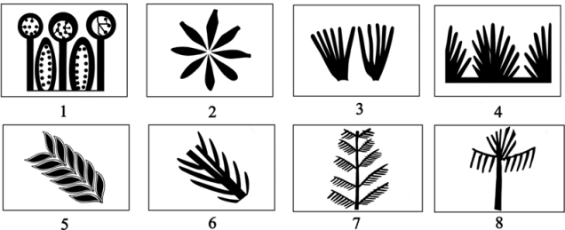 Garfinkel Krulwich Classification of Plant Imagery Orig Sm